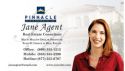 Pinnacle Real Estate Business Card 005