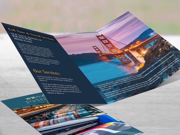 Printed trifold brochure and flyer