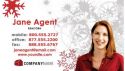 Holiday Business Card 003