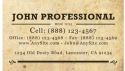 Professional Business Card 003